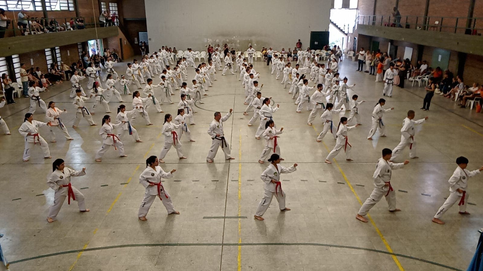 Práctica de Taekwon-Do